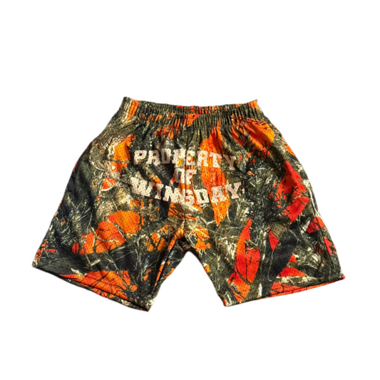 Property Of WInsday Mesh Shorts Orange