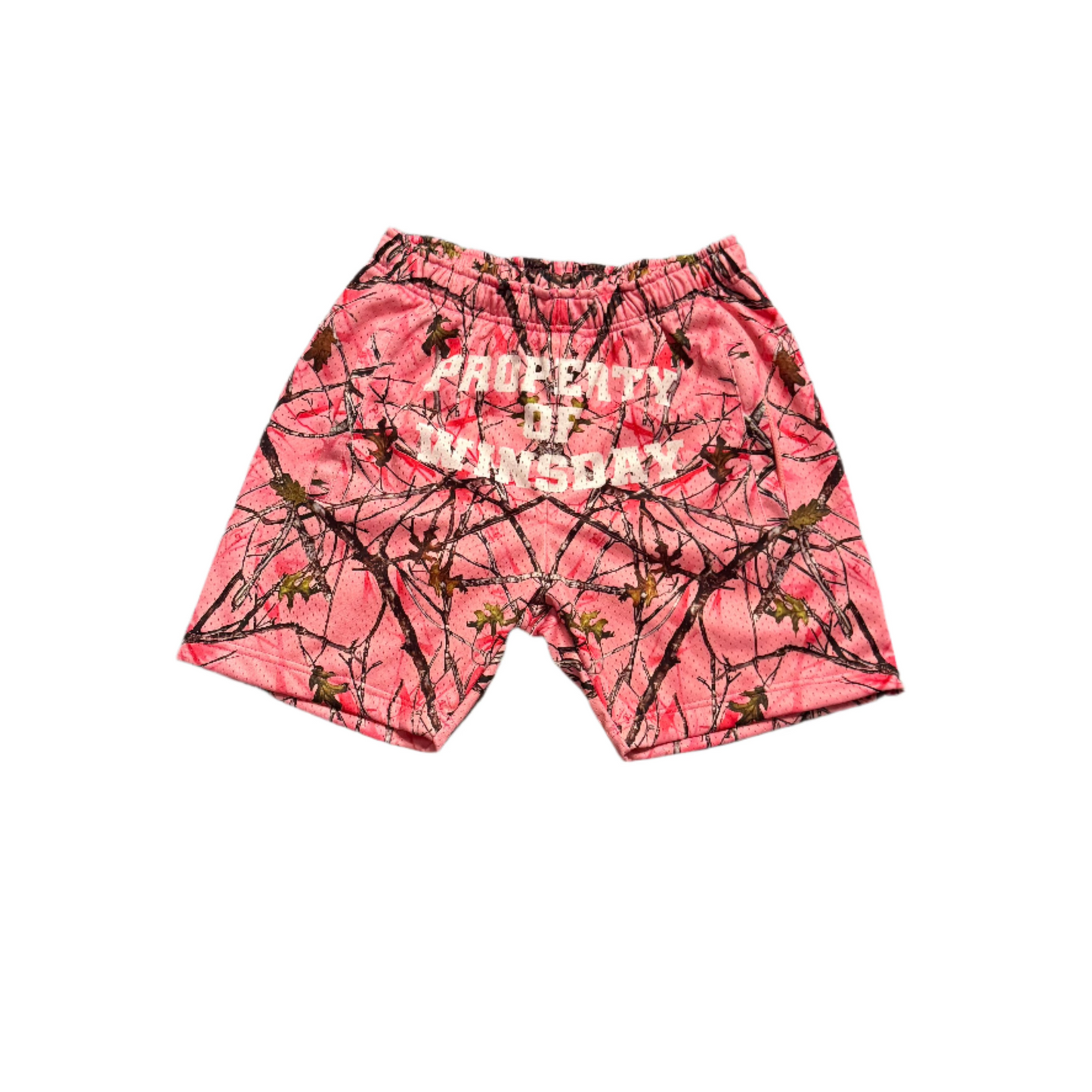 Property Of Winsday Mesh Shorts Pink
