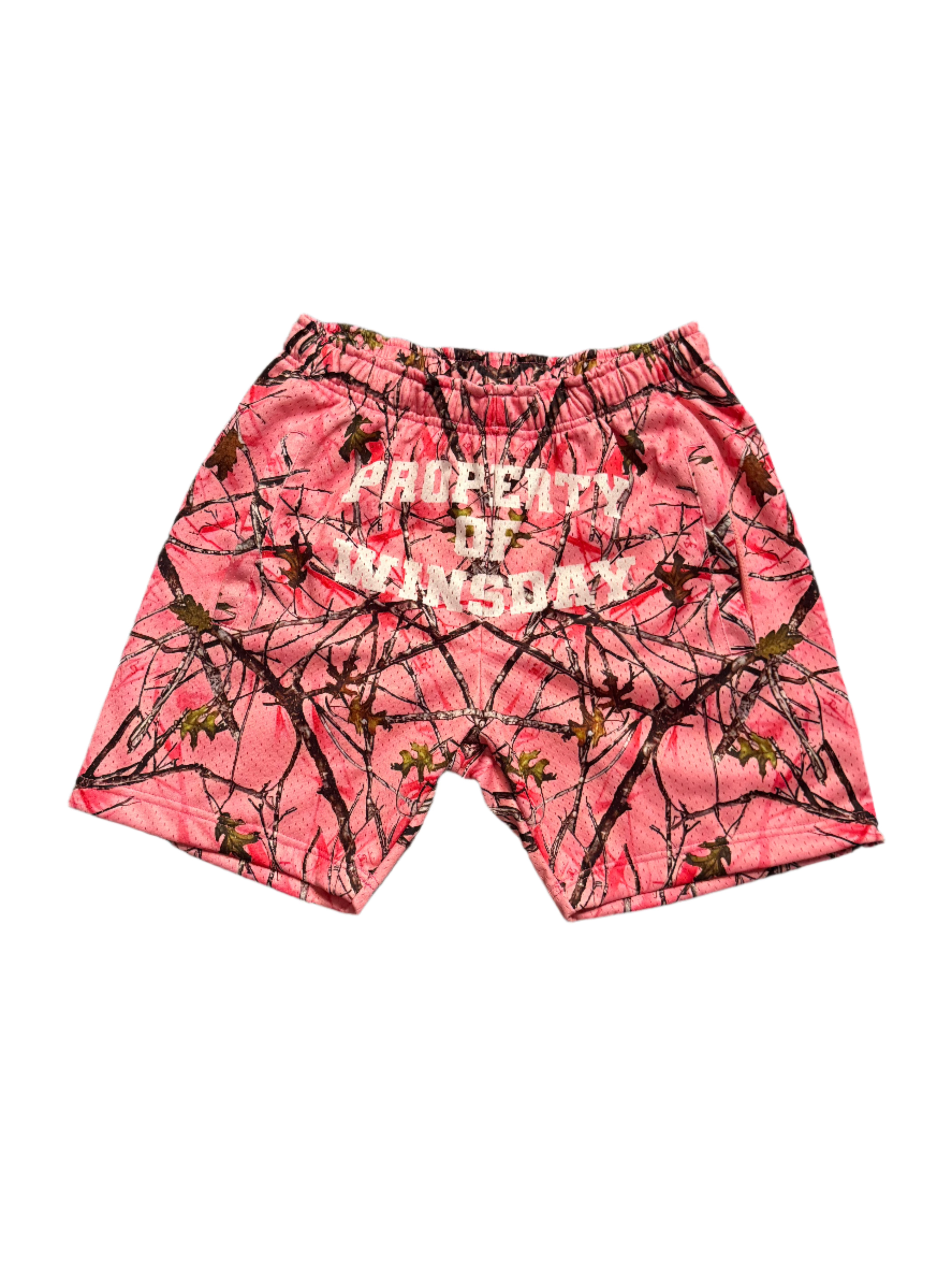 Every Day is Winsday