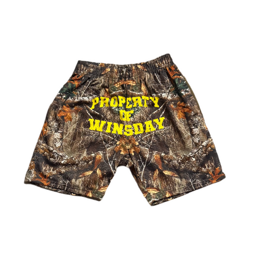 Property Of Winsday Mesh Short Brown